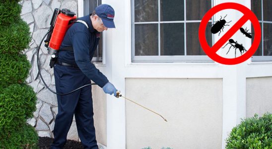 Avanos Dezenfeksiyon böcek ilaçlama ve haşere kontrolü — ilaclama-tr.com
